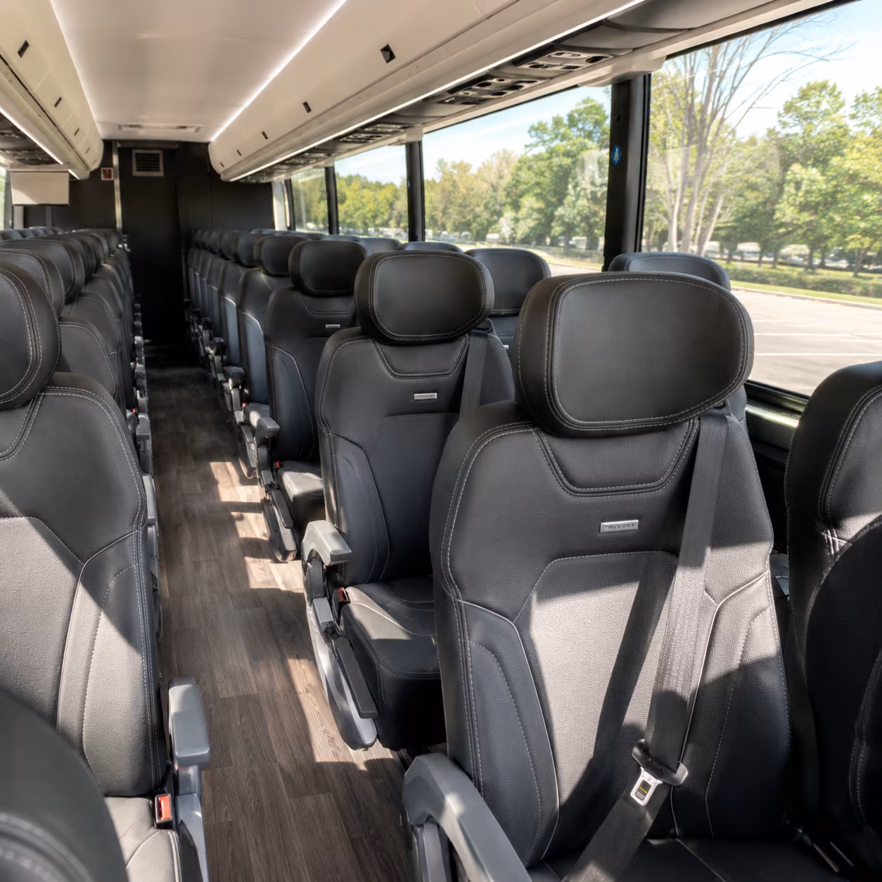 Hollywood Corporate Transportation party bus exterior