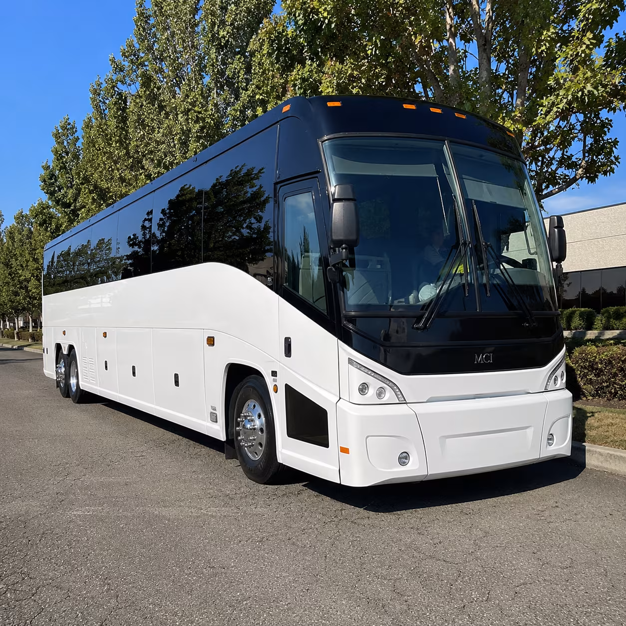 Hollywood School Event Transportation party bus exterior