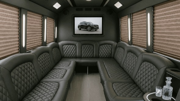 50 passenger party bus interior